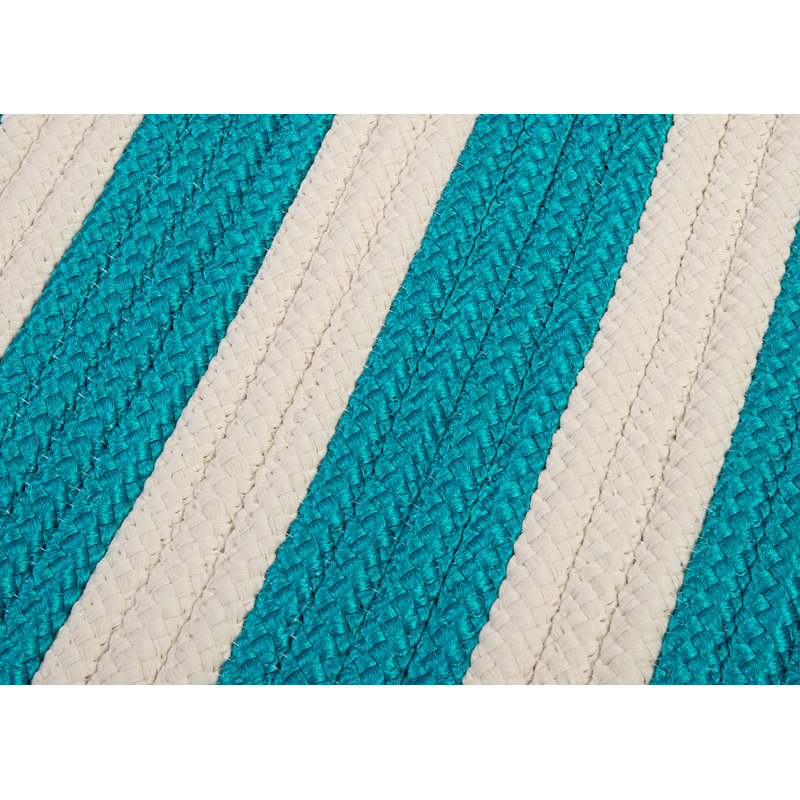 Viv + Rae Turquoise Indoor/Outdoor Area Rug & Reviews Wayfair